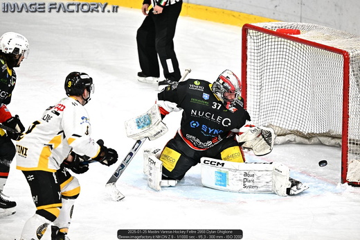 2025-01-25 Mastini Varese-Hockey Feltre 2958 Dylan Ghiglione